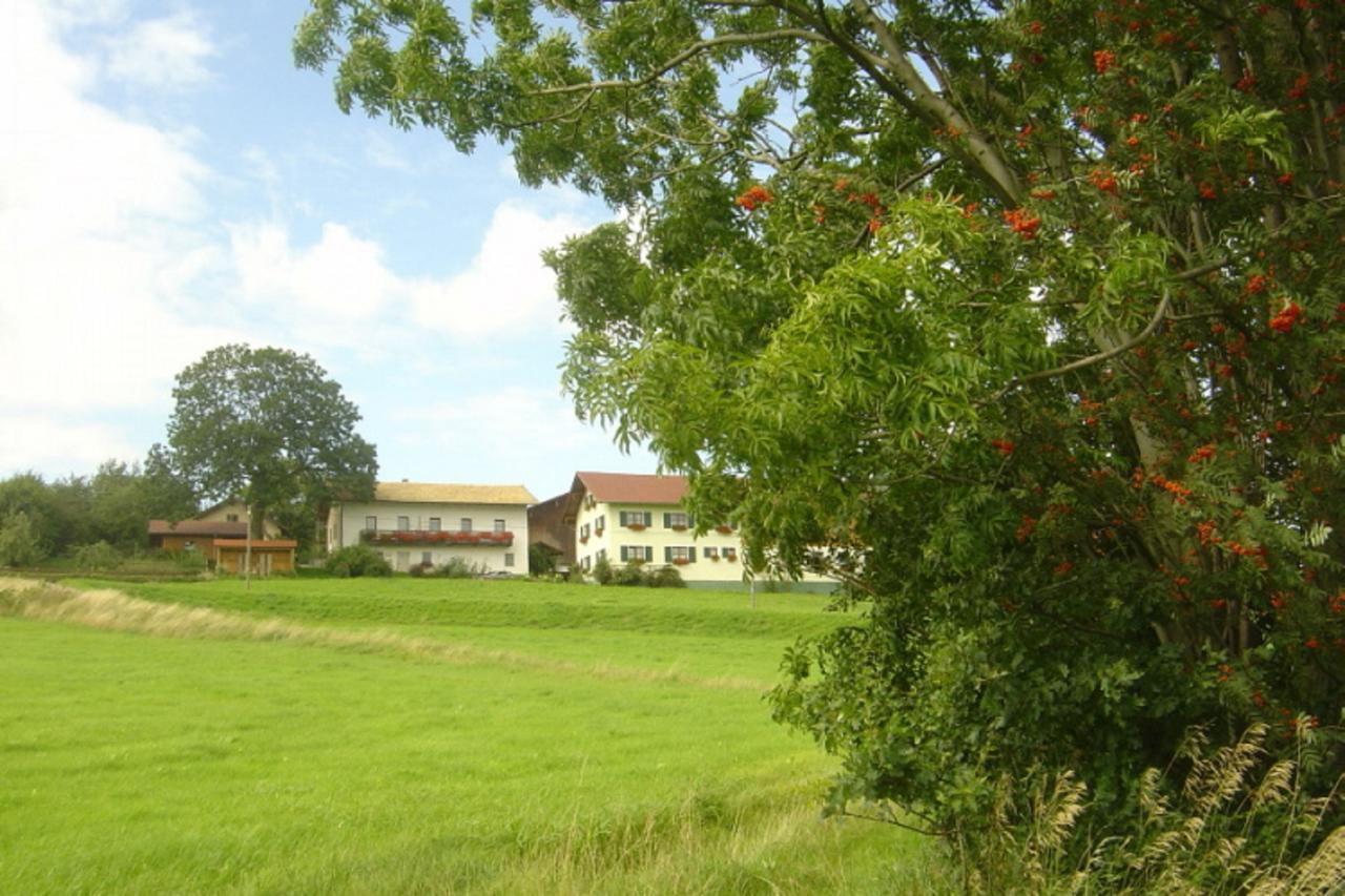 Birkenhof Apartment Neukirchen beim Heiligen Blut Bagian luar foto